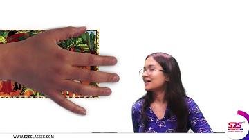 The Story Of Amrita Class 4 EVS Chapter 4 | NCERT / CBSE