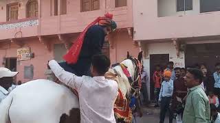 Garba|Indian wedding vargoda|Phool gajro garba|Full moj|Horse Dancing Gujarati garba|2024