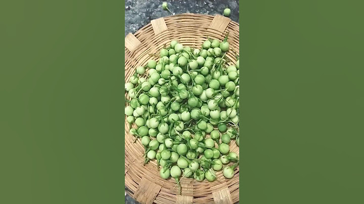 சுண்டைக்காய் சாப்பிட்டால் சுகர் வராது