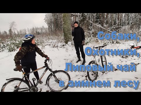 Внезапный выезд в зимний лес