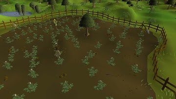 Lumbridge Potato Farm - OSRS 60FPS 2K B Roll