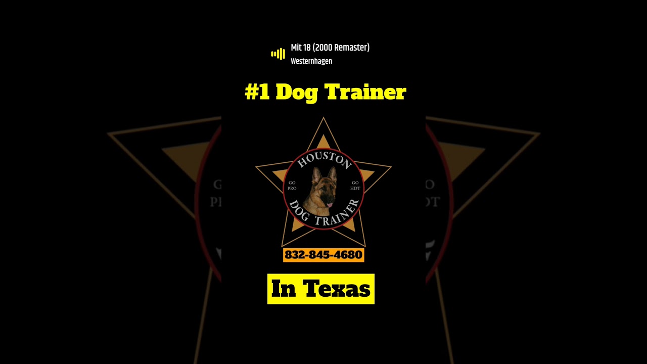 #1 DOG TRAINER IN Houston TX 