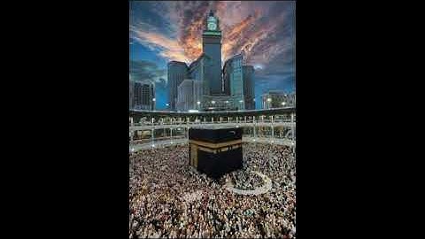 ماتيسر من سورة هود { الايه 69 الي الايه83}