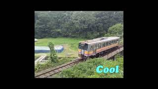 【超ローカル線】JR西日本_芸備線　東城→野馳　鉄橋を通過する列車　JR West_Geibi Line in Japan
