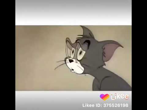 مانام حالف لا مانام لعيونك اسهر عشر اعوام