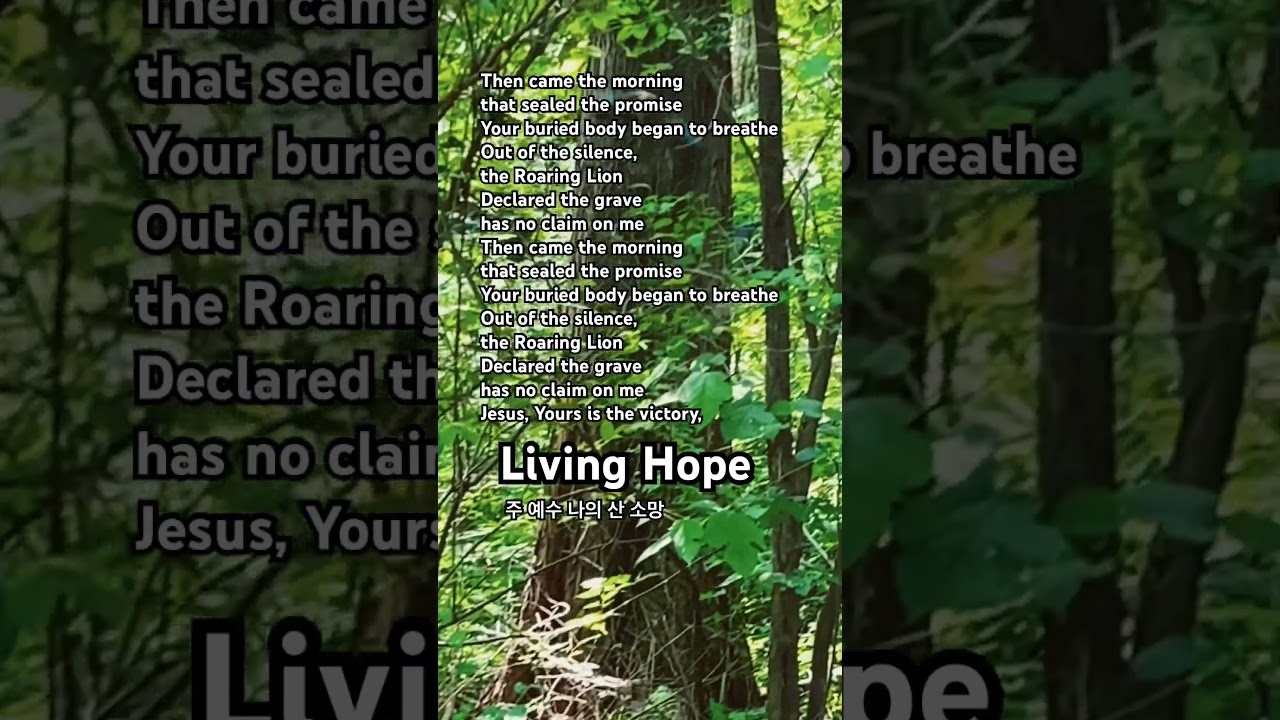 ❤️‍🩹4-Living Hope(주 예수 나의 산소망) by Phil Wickham 