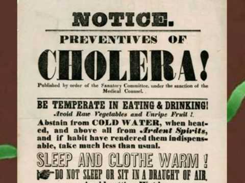 Robert Koch - Anthrax, Tuberculosis, and Cholera