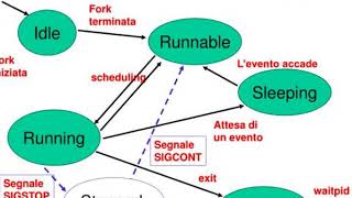 I Segnali