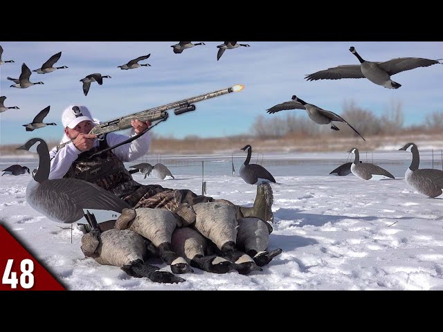 EPIC Solo Goose Hunt on ICE! (Limited Out) | Goose Hunting 2022 class=
