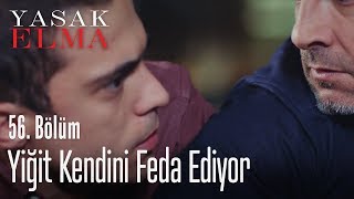 Yiğit canını hiçe saydı - Yasak Elma 56. Bölüm