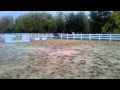 Amy Heggen and Brahma Fear, Secretariat's grandson Amy Heggen and Brahma Fear, Secretariat's grandson