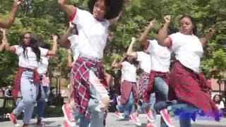 2016 UMD Block Show - Delta Sigma Theta