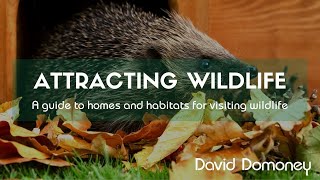 How to attract beneficial wildlife by adding homes and habitats to your garden