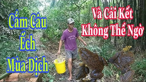 Cắm Câu Ếch Mùa Nước Nổi Và Cái Kết Không Thể Ngờ Cho mấy ae
