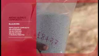 Fertilizacion de Invierno en manzanos