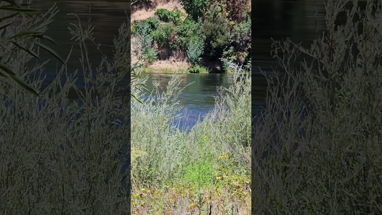 07 19 2025 River Flowing Video1 YouTube Maxres2