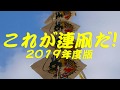 これが連凧だ!2019年度版