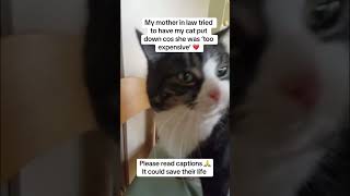 All pet parents should have a pet first aid kit #petfirstaid #petwellness #healthypets #petemergency