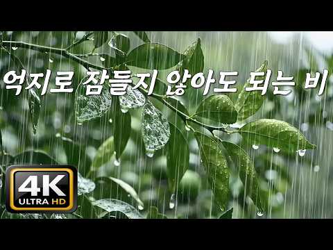 Stop Trying to Sleep 💤 Just Listen and You'll Be Gone | Mountain Rain (7Hours)