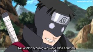 Naruto Shippuden Episode 208 Bahasa Indonesia