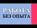 оБЪ том, что ждет вас на первой работе