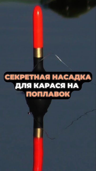 СЕКРЕТНАЯ насадка для ловли КАРАСЯ НА ПОПЛАВОК #рыбалка #рыба #карась # ...