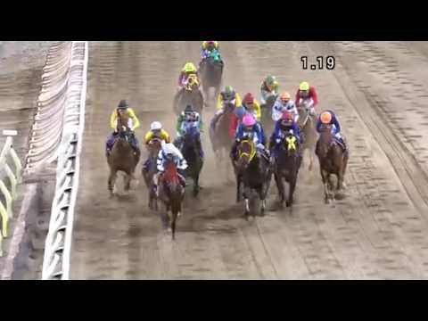 【地方競馬】2016年6月8日 第６２回 東京ダービー(S1) バルダッサーレ