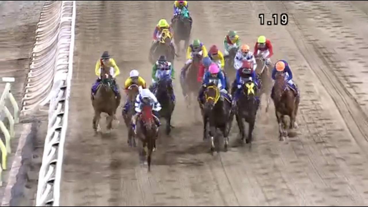 違法性ないが一部不適切 東京ダービーの結果が話題に 馬はどこまで限界を突き破れるのか