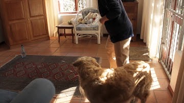 Gillian Pirow, Web Lesson 10, Exercise Packet 1, Exercise 3, Build a Chain Using Back-Chaining