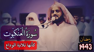 سورة العنكبوت كاملة... الشيخ رعد محمد الكردي تلاوة مثالية..Shix Raad Al-Kurdi full surah Al-Ankabut.