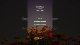 Download Lagu güzel anam #music #müzik MP3