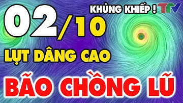 Dự báo thời tiết hôm nay mới nhất ngày 02/10 | Tin Bão Số 4 mới nhất | Dự báo thời tiết 3 ngày tới