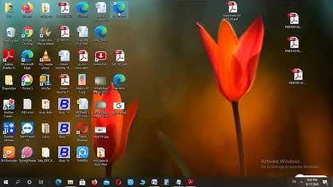 Class 8th Ch-4(Images, Links & Frames) Part-2 [18 September 2020]