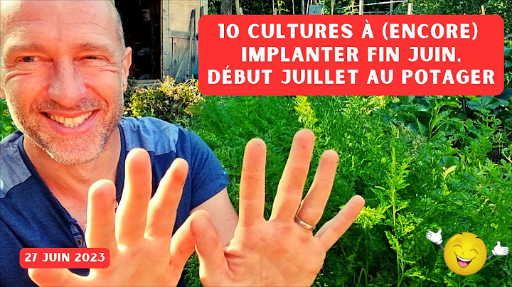 10 cultures à implanter dans votre potager avant qu'il ne soit trop tard ! (fin juin à mi-juillet)