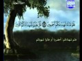 ما تيسر من سورة الأنعام القارئ عبد المحسن القاسم   3 