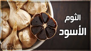 الثوم الأسود: فوائد عديدة وهامة