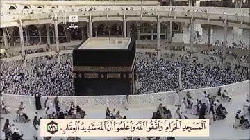 ماتيسر من سورة البقرة (آيات الحج) للقارئ محمد اللحيدان FULL HD