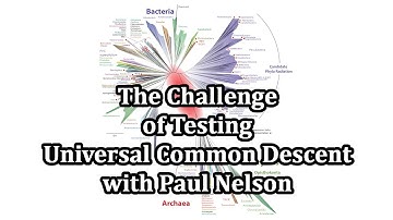 The Challenge of Testing Universal Common Descent with Paul Nelson