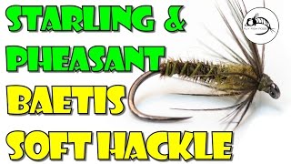 Fly Tying Tutorial: Blue Winged Olive Soft Hackle by Fly Fish Food screenshot 2