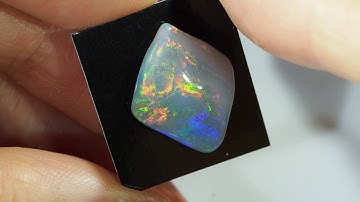 2.96 Cts Shell Fossil BB113