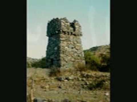 اتهموني بسرقة تمر من وادي الدواسر