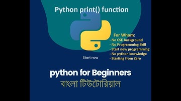 how to use print function in python