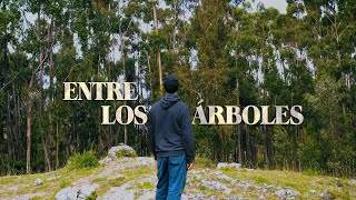 Mar de Copas - Entre los Árboles (Video Oficial)