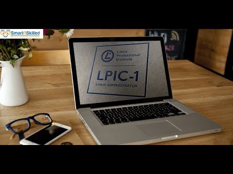 Vidéo: Qu'est-ce que le test LPI ?