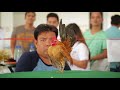 Alagang Magaling S7 EP9   SALPUKAN SA LAMESA   Serama Chicken Show