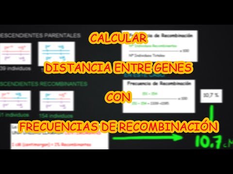 Video: ¿Cómo se determina la distancia entre genes?