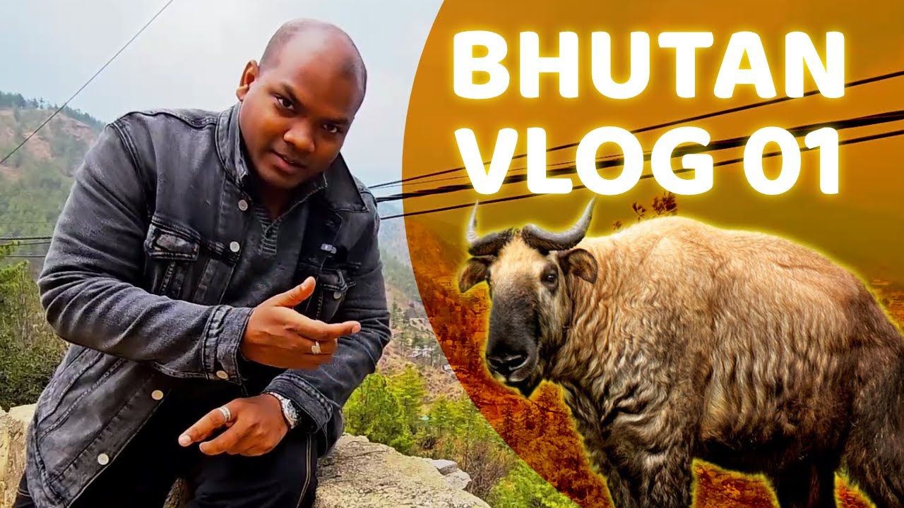 Bhutan Vlog 01 | First Day in Thimphu – Money Troubles, Takin Reserve & Buddha Dordenma 🇧🇹
