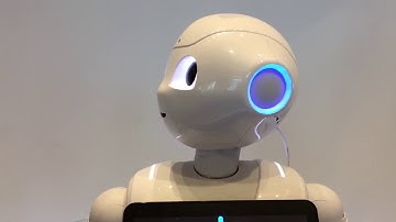 W3 at IBM Amplify 2017