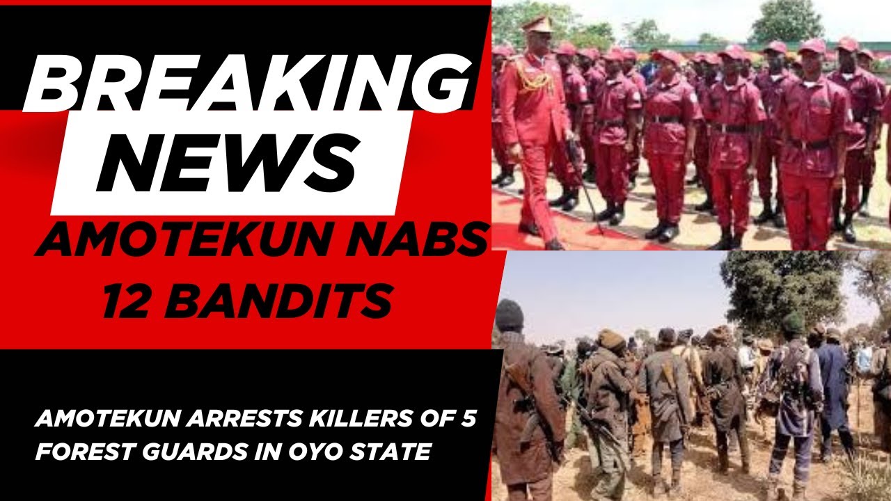 Bloodshed in Oloka! Amotekun Nabs 12 Bandits After Gruesome Attack on Forest Rangers!