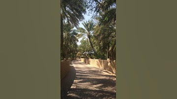 آيات من سورة يوسف بصوت الشيخ عبدالباسط عبدالصمد رحمه الله || #اكسبلور #قرآن